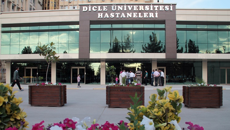 Diyarbakır’daki doktor uluslararası bir esere imza attı