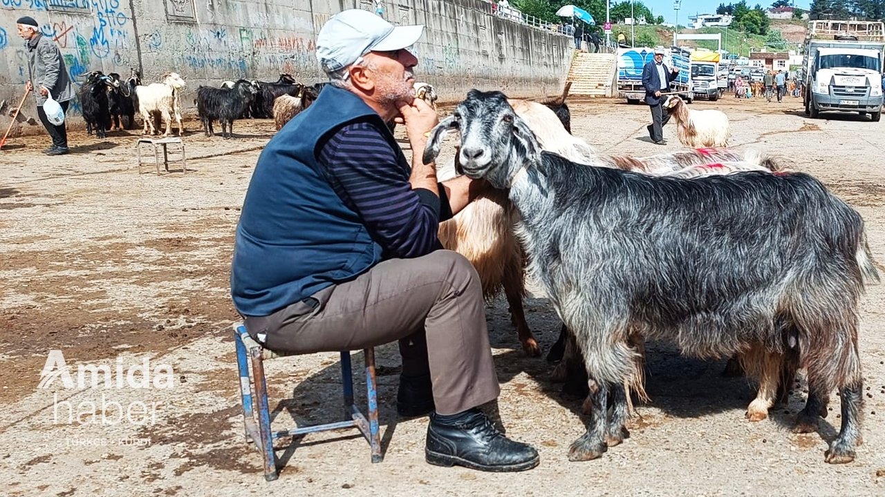 Uzman’ından Kurban Bayramı uyarısı: Kahvaltılık yiyin!