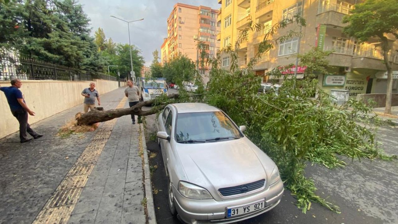 Diyarbakır’da fırtına çatıları uçurdu, ağaçları devirdi