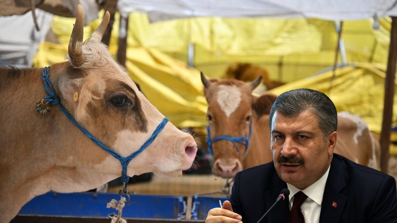 16 bin “acemi kasap” kurban yerine kendini kesti