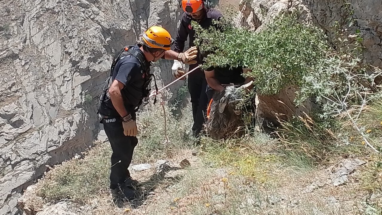 Arife gecesi kaçmıştı: Kayalık alanda bulundu