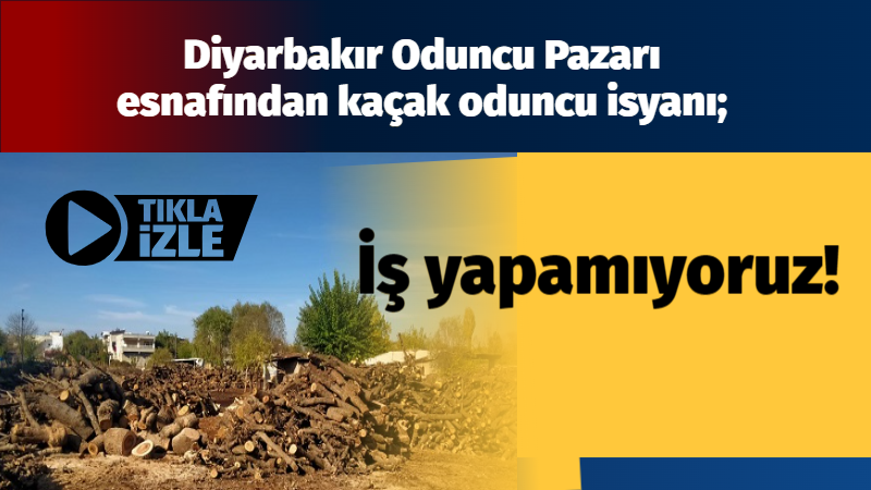 Diyarbakır Oduncu Pazarı esnafından kaçak oduncu isyanı; İş yapamıyoruz!