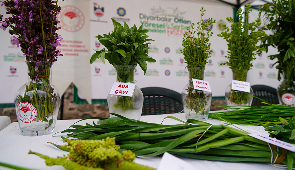 Diyarbakır Otları ve Şerbet festivali