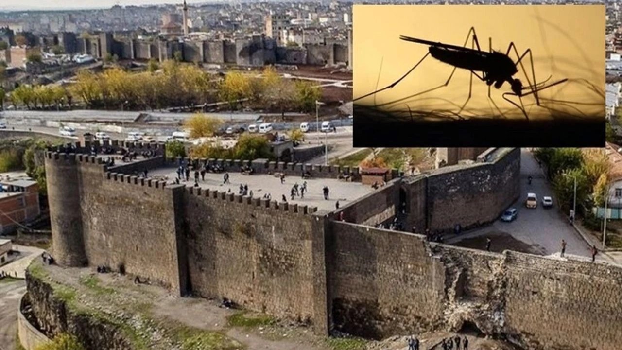 Diyarbakır’da sivrisinekler uyutmuyor!