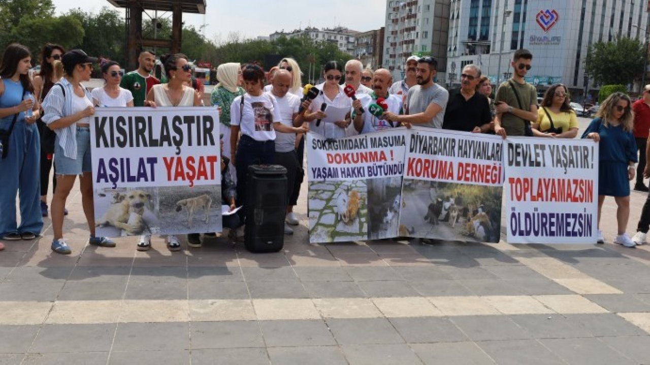 Diyarbakır’da hayvanları 'öldürme' yasa teklifine tepki