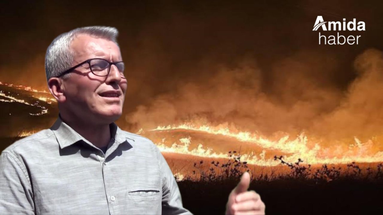 Diyarbakır’daki yangınların nedeni belli oldu: Kar hırsı çıktı