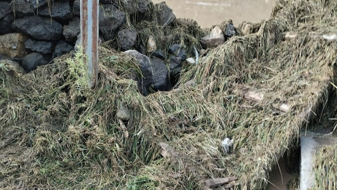 Van’da sel faciası: 10 küçükbaş telef oldu