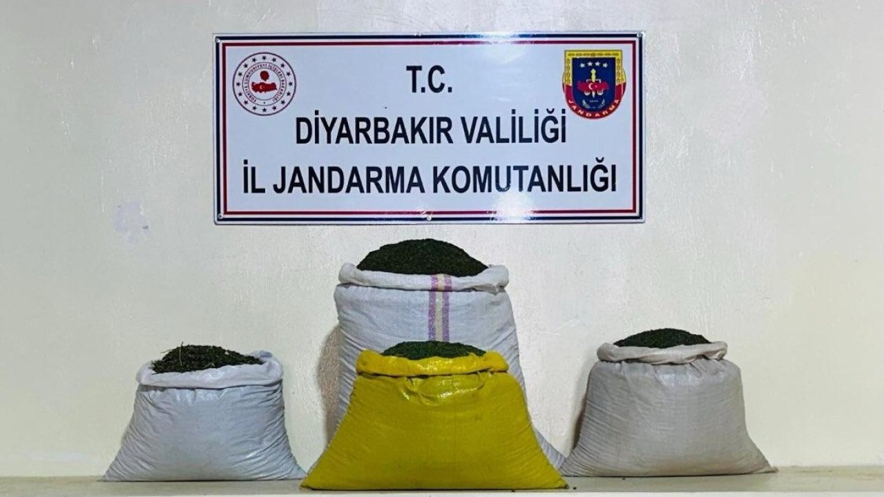 Diyarbakır Lice’de operasyon: Tonlarca esrar maddesi imha edildi
