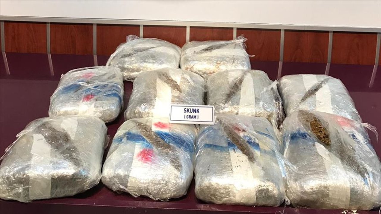 10 kilo 700 gram skunk ele geçirildi: 2 kişi tutuklandı