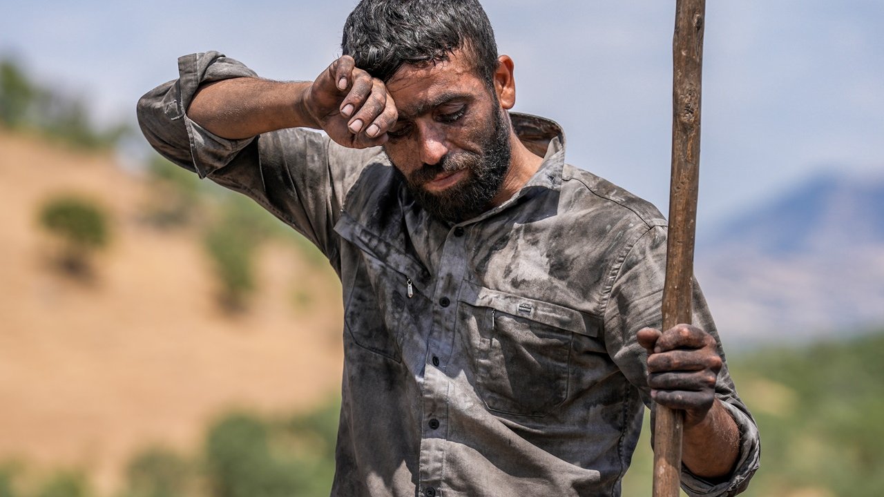 FOTO HABER | Diyarbakır’daki kömür işçileri kavurucu sıcakta mangal kömürü üretiyor