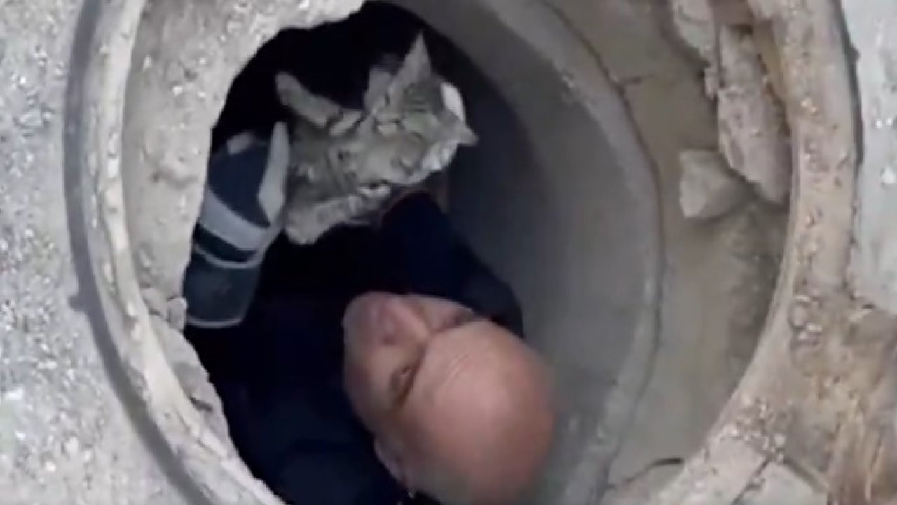 Kanalizasyon rögarına sıkışan kedi kurtarıldı