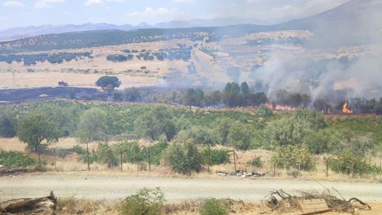 Diyarbakır’da çıkan yangın üzüm bağları ve meyve ağaçlarını kötü etkiledi