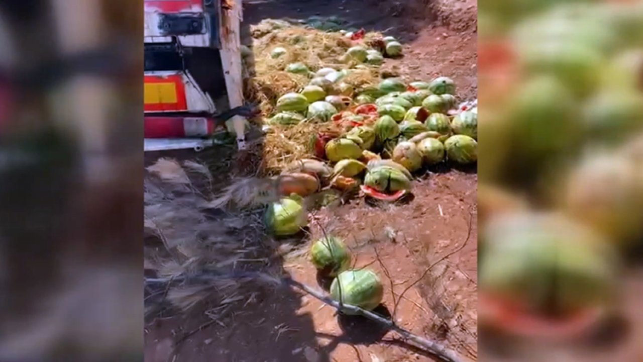 Çürük karpuzları yola döktü: Cezayı yedi