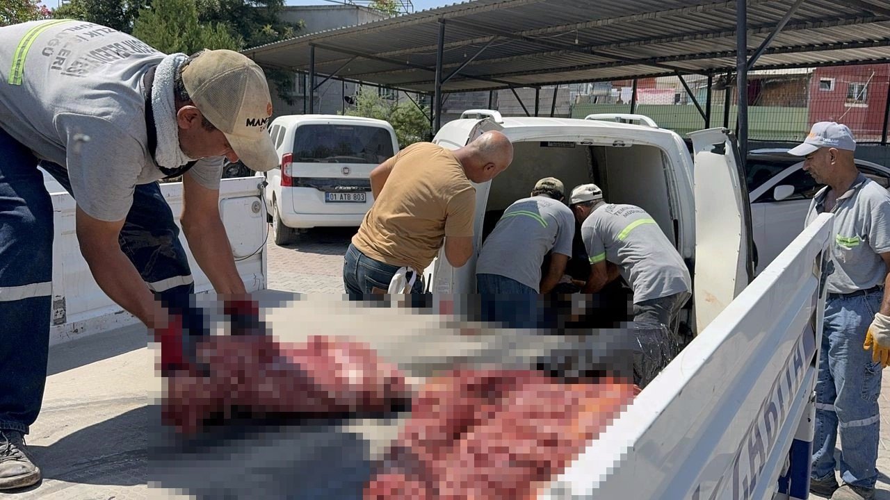 Arabasında 1 buçuk ton at eti yakalandı: Akrabalarıma dağıtacaktım!