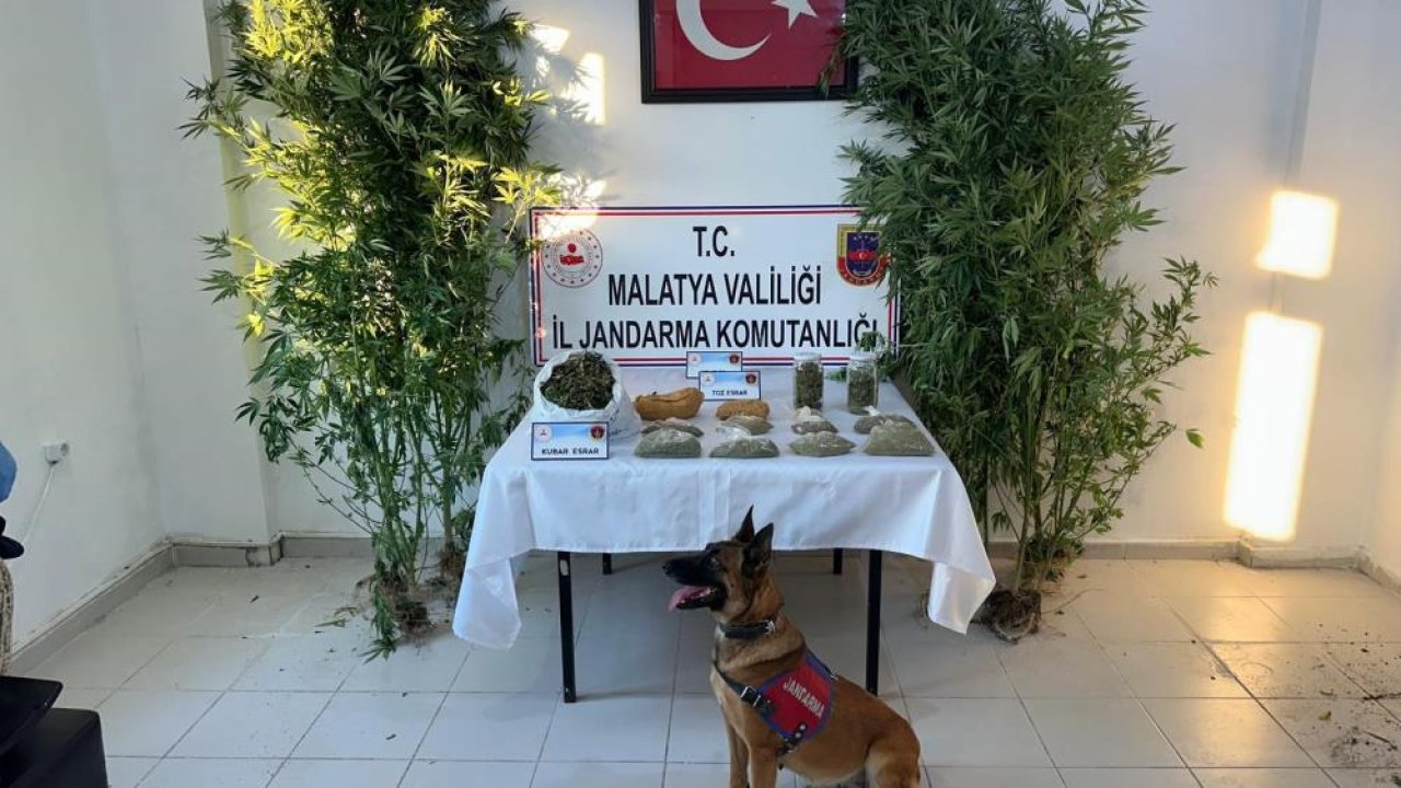 Malatya’da uyuşturucu operasyonu: 1 zanlı yakalandı