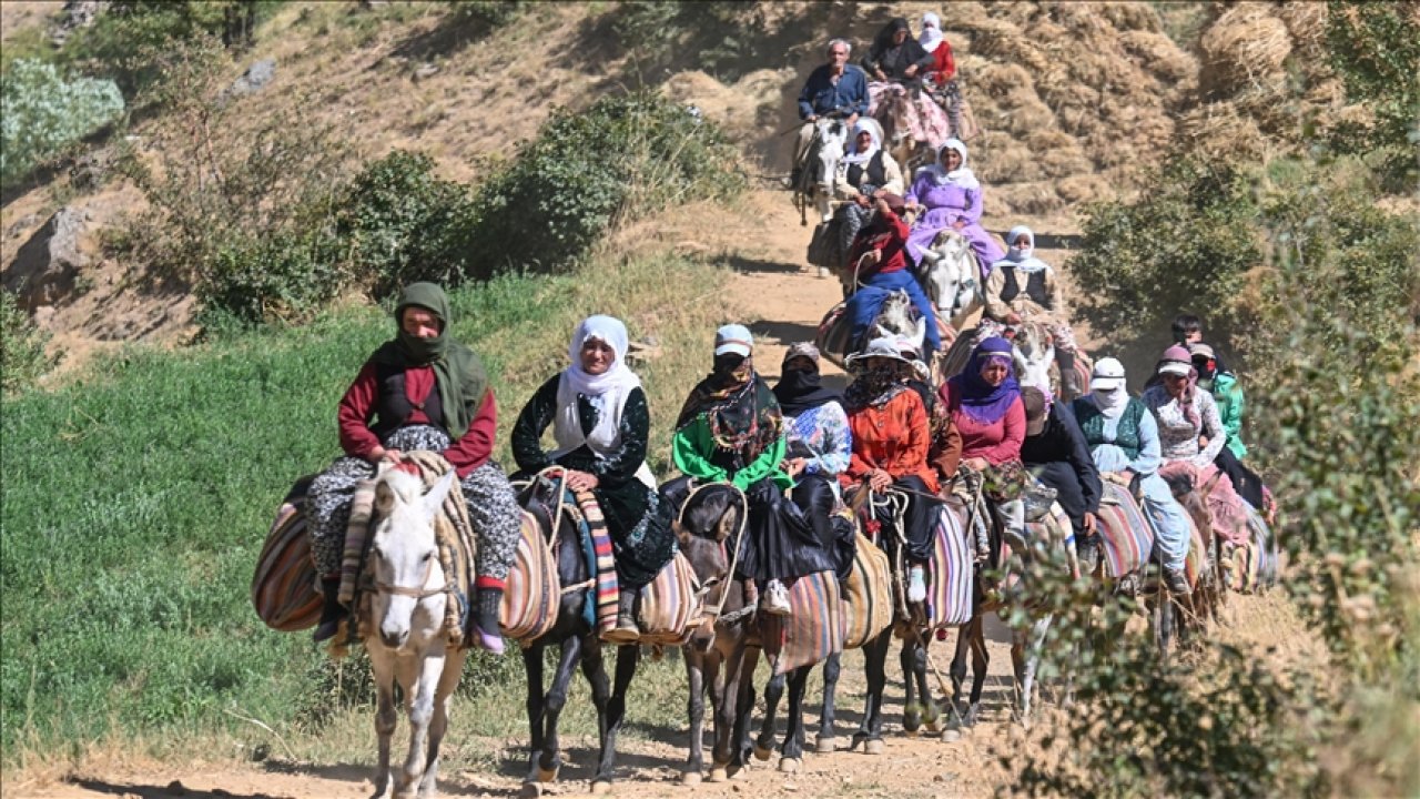 FOTO HABER - Vanlı berivanların zorlu yaşamları