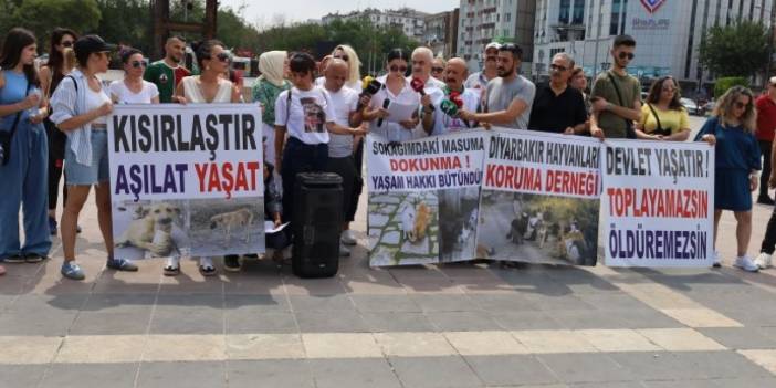 Diyarbakır’da hayvanları 'öldürme' yasa teklifine tepki