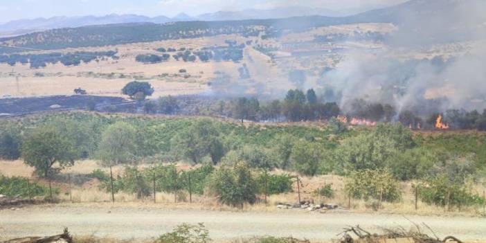 Diyarbakır’da çıkan yangın üzüm bağları ve meyve ağaçlarını kötü etkiledi