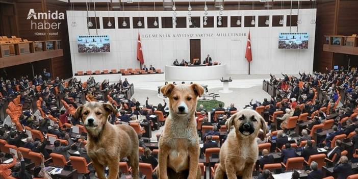 Sokak hayvanlarına yönelik kanun teklifi 1 Ağustos’a kadar görüşülecek