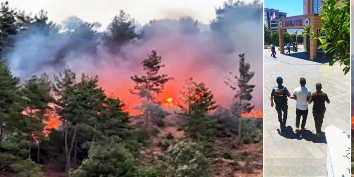 Şaka yapayım derken ormanı yakan piknikçi tutuklandı