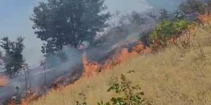 Diyarbakır’da çıkan örtü yangını korkuttu