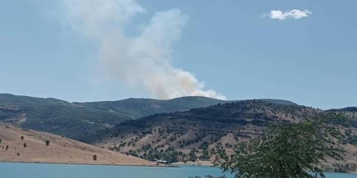 Dersim’de orman yangını: Güçlükle müdahale ediliyor