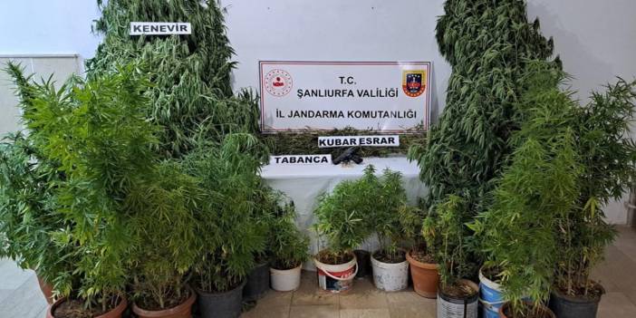 Şanlıurfa’da uyuşturucu operasyonu: 5 kişi gözaltına alındı