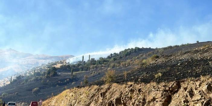 Mardin’de ormanlık alanda yangın: Kontrol altına alındı