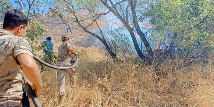 Dersim’deki yangında 11 hektar kül oldu