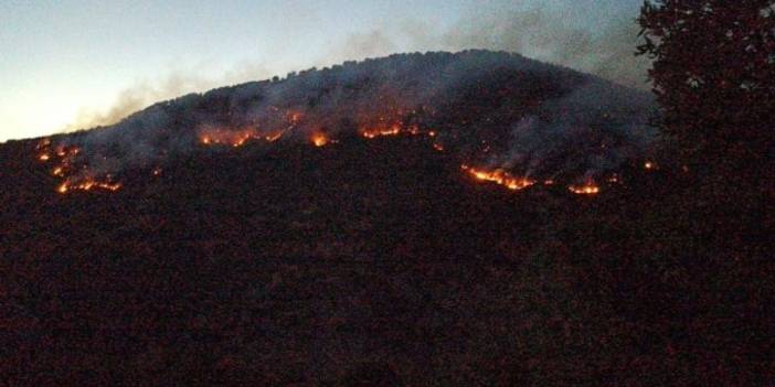 Bitlis’te orman yangınları: Ekipler müdahale etti