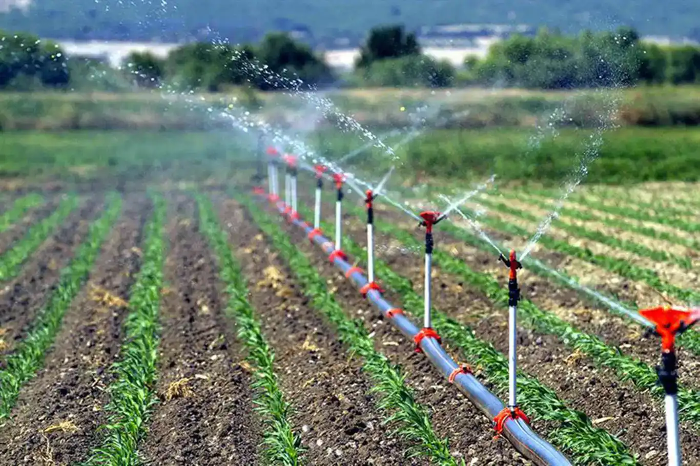 Diyarbakırlı çiftçiler için sevindirici haber: Başvurular hafta sonu da yapılabilecek