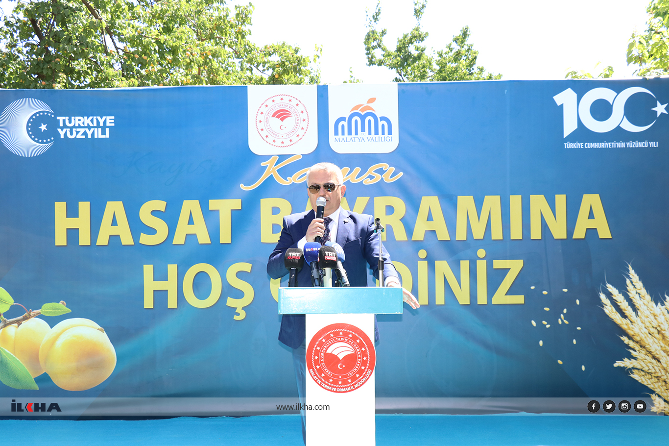 Dünya kayısı başkenti Malatya'da hasat zamanı