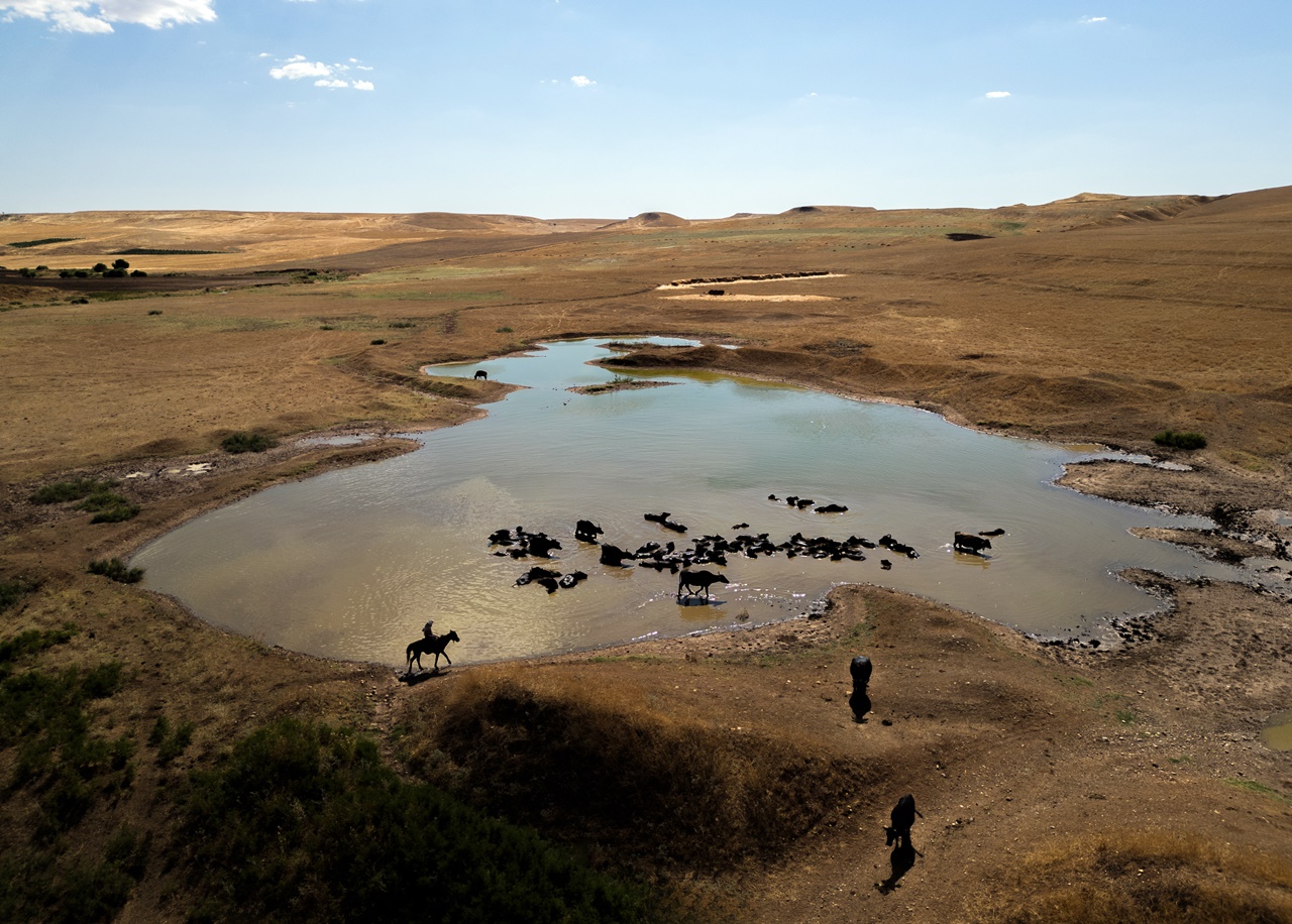 manda-diyarbakir2.jpg