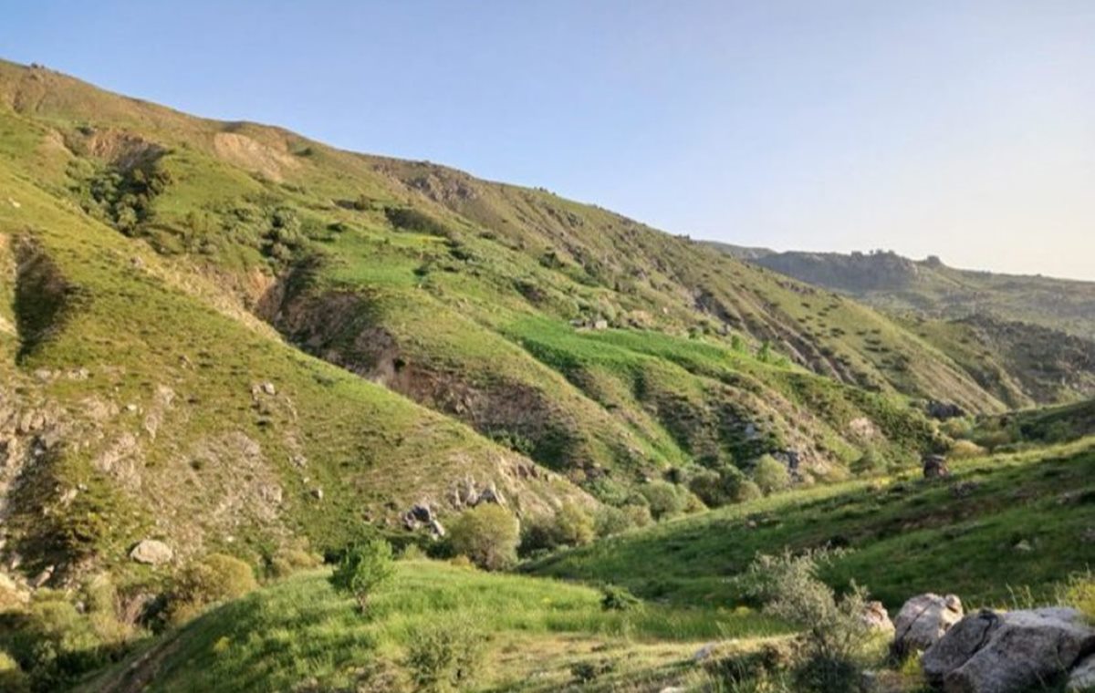 diyarbakir-yayla.jpg