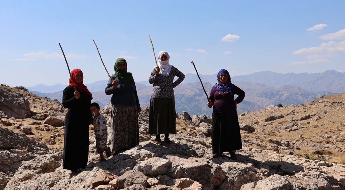 hasndin-yaylasi-miting.jpg