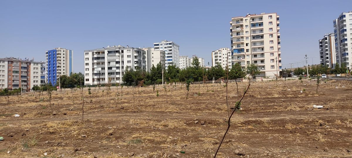 diyarbakir-park.jpg