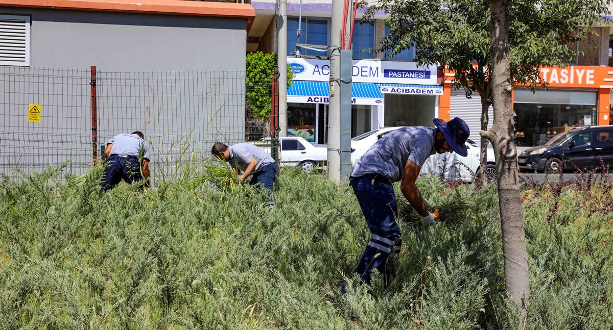 belediye-bahce-temizleme.jpg