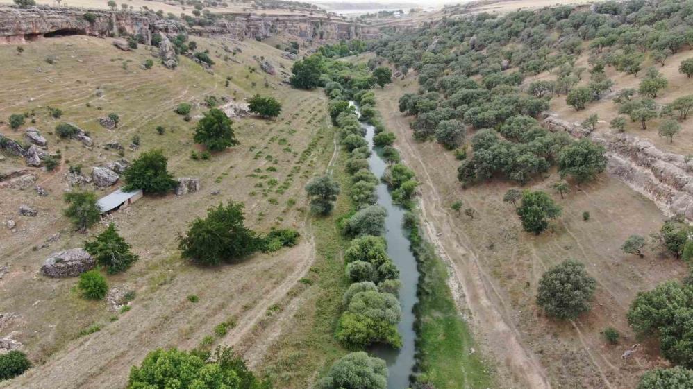 Diyarbakır’da serinlemek isteyen kuzenler boğuldu